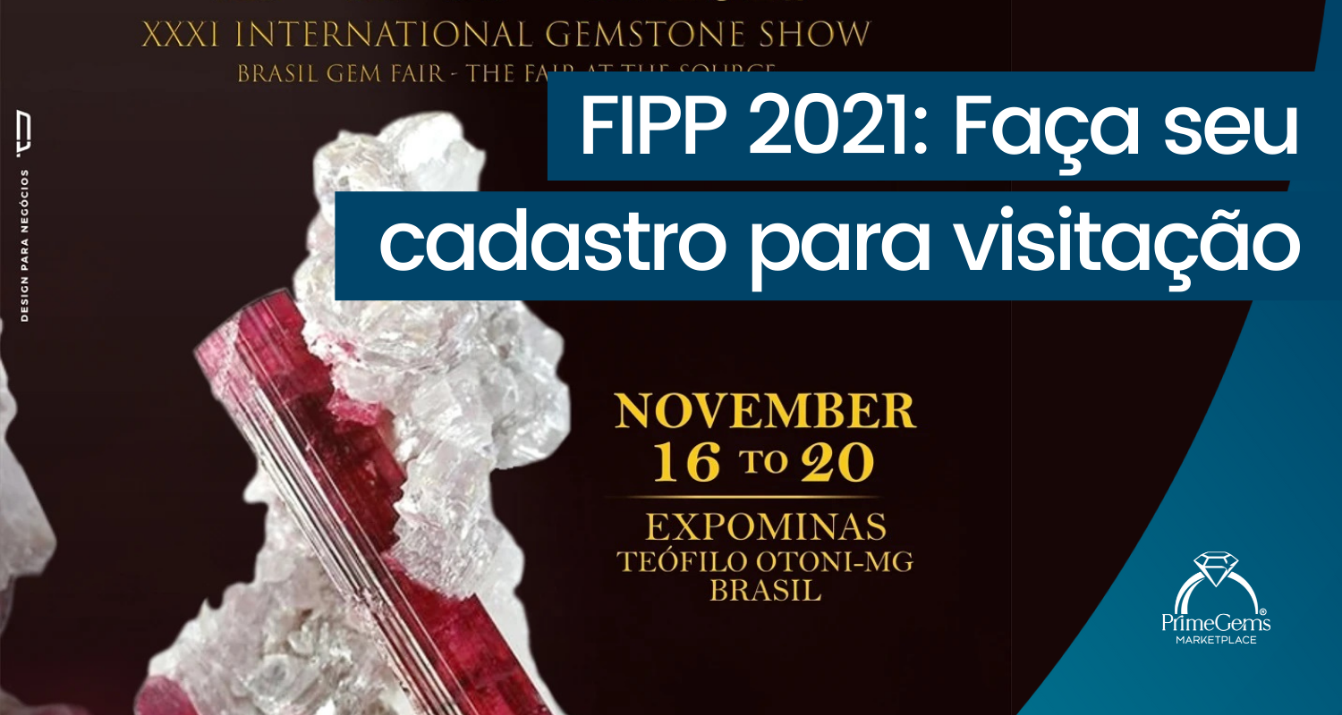 FIPP 2021: FAÇA SEU CADASTRO PRA VISITAÇÃO