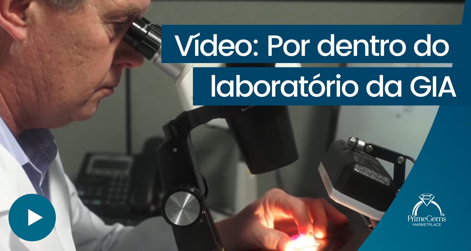 VIDEO: POR DENTRO DO LABORATÓRIO DA GIA